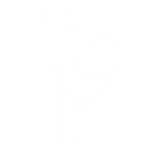 Study Spanish Trail logo